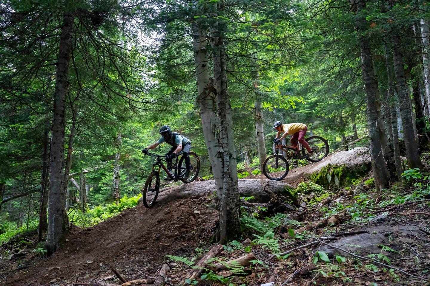 Deux cyclistes sur un sentier forestier, entourés d'arbres verts.