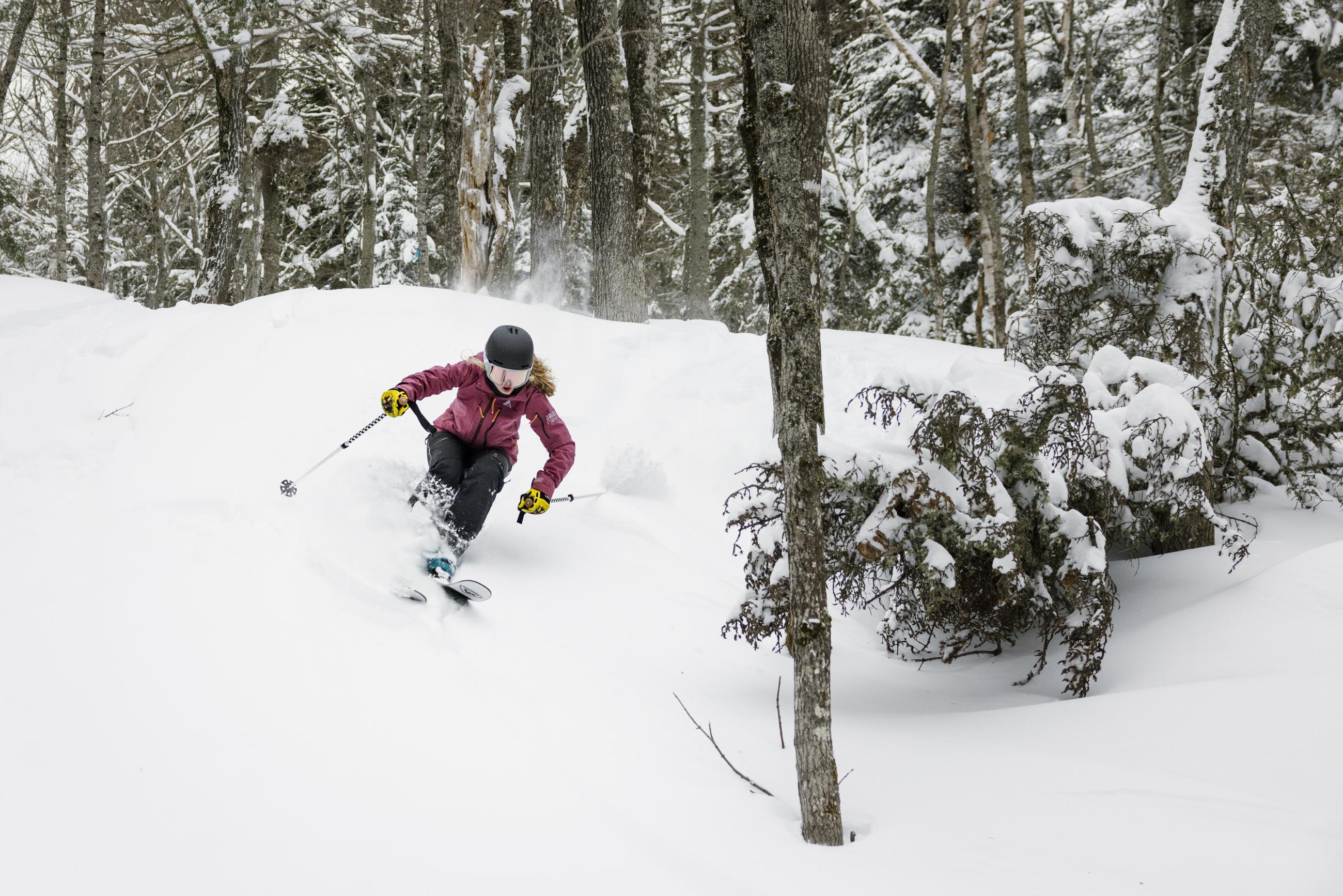 Livre T'choupi fait du ski - ValetMont / SnowUniverse, Mountain Spirit  online sale