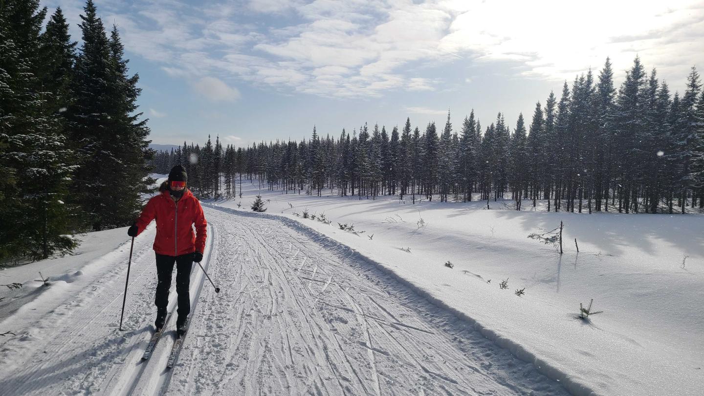 Ski de fond