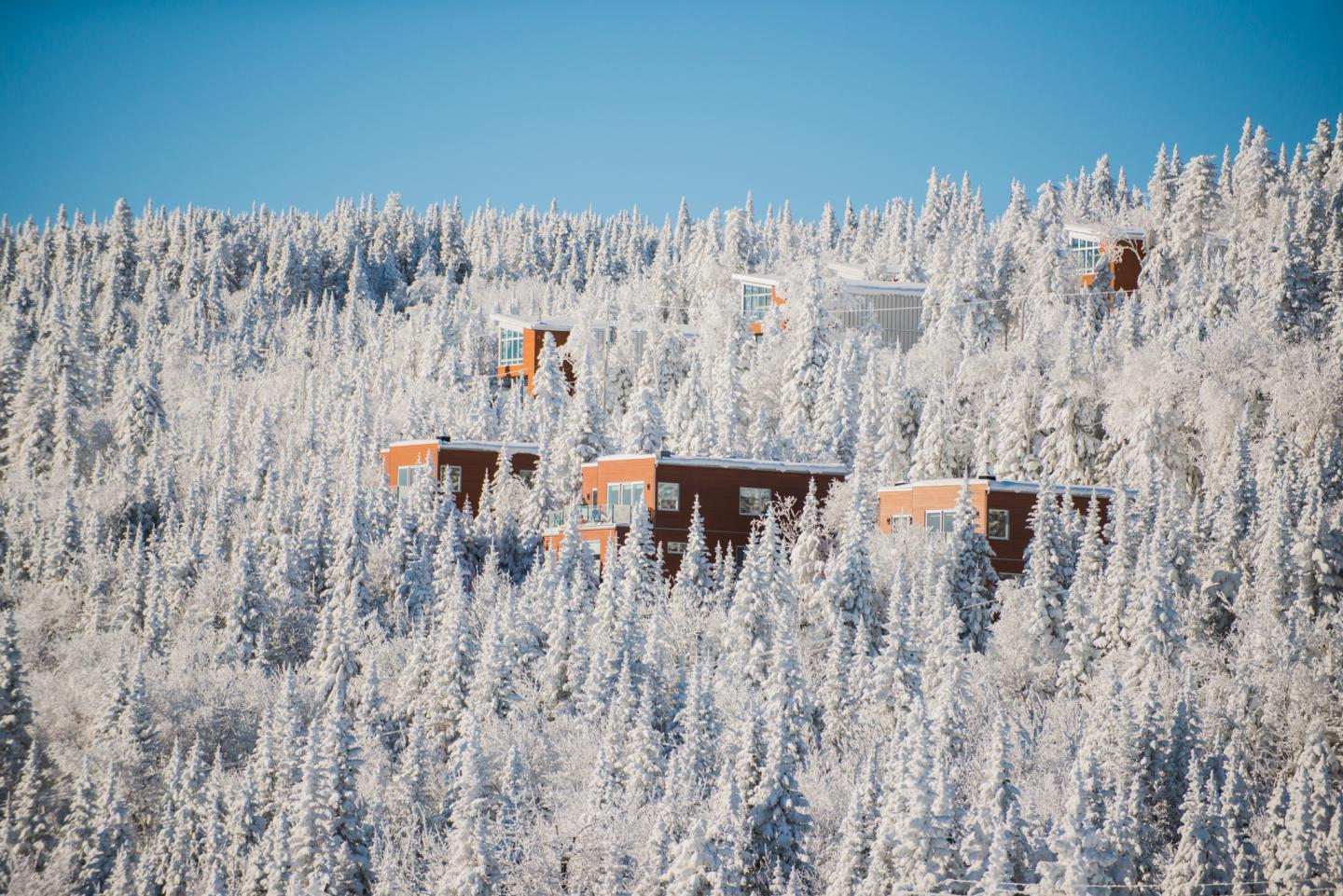 Chalets-Forêt