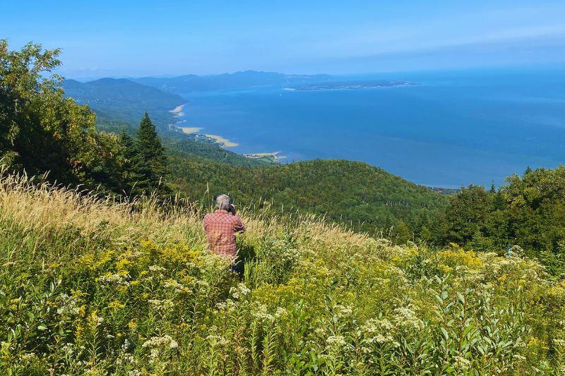 Personne marchant dans un champ avec vue sur la mer bleue et les collines verdoyantes.